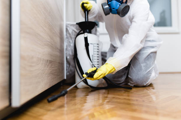 Best Residential Pest Control  in Lockport, LA