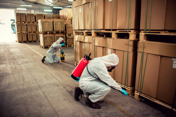 Trusted Lockport, LA Pest Control Experts