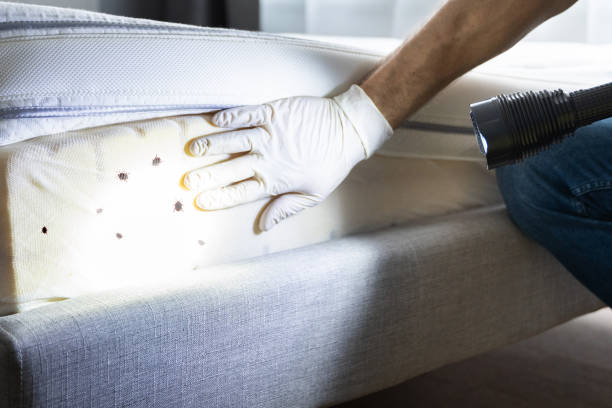 Pest Control Cost in Lockport, LA