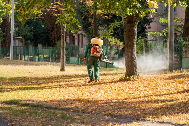 Best Emergency Pest Control  in Lockport, LA
