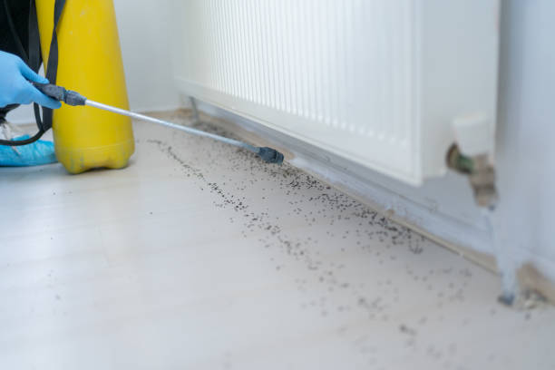 Best Pest Control for Businesses  in Lockport, LA